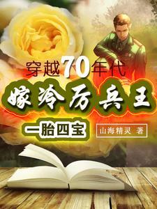 嫁冷厉兵王一胎四宝穿越70年代全文